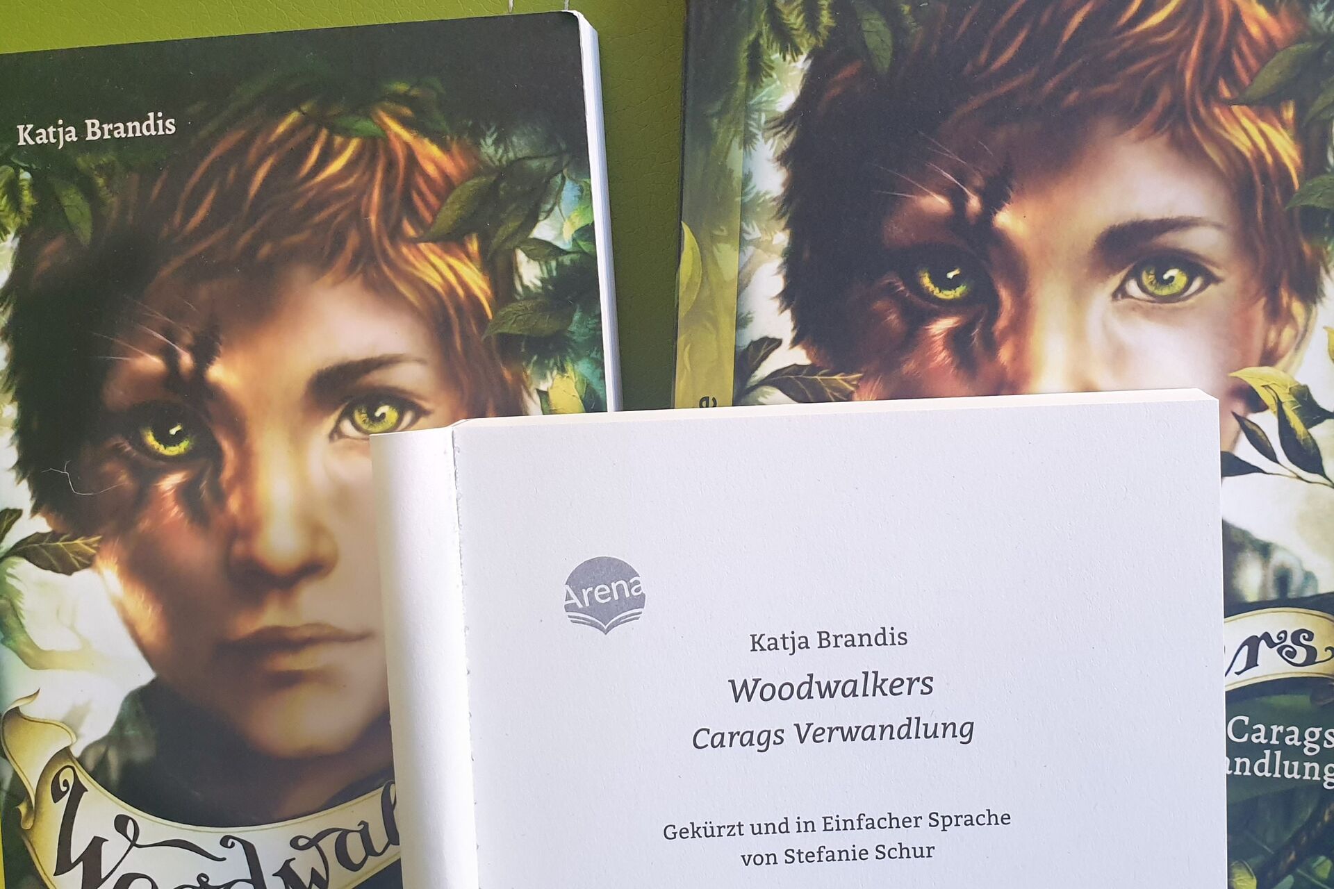 Buchcover Woodwalker in Einfacher Sprache